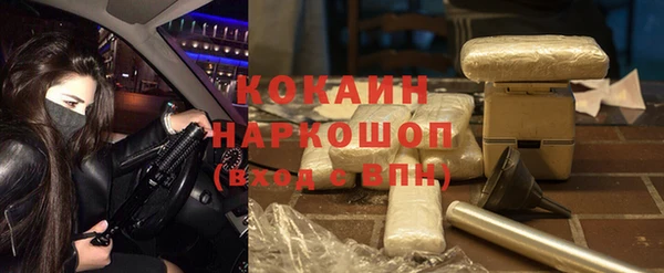 ECSTASY Бородино