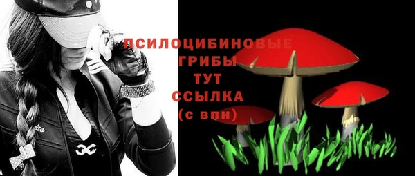 МДПВ Няндома