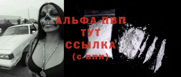 ECSTASY Бородино