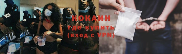 ECSTASY Бородино