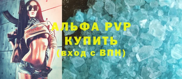 ECSTASY Бородино