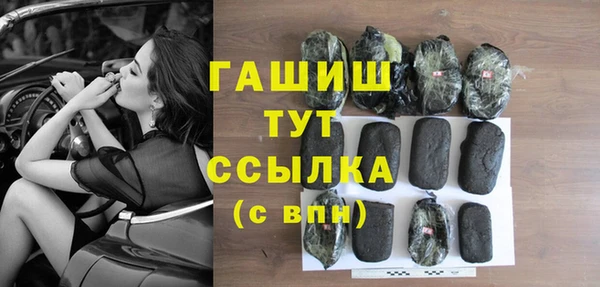 ECSTASY Бородино