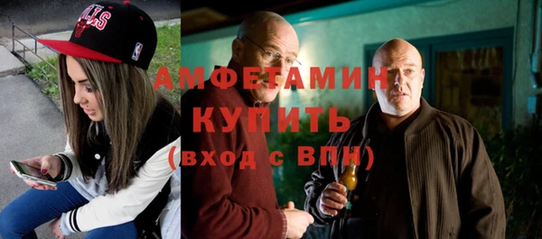 ECSTASY Бородино