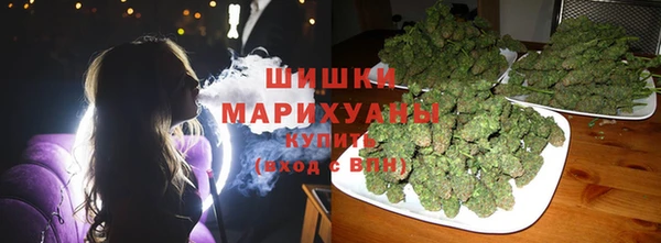 ECSTASY Бородино