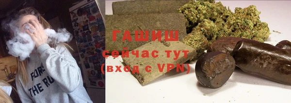 ECSTASY Бородино