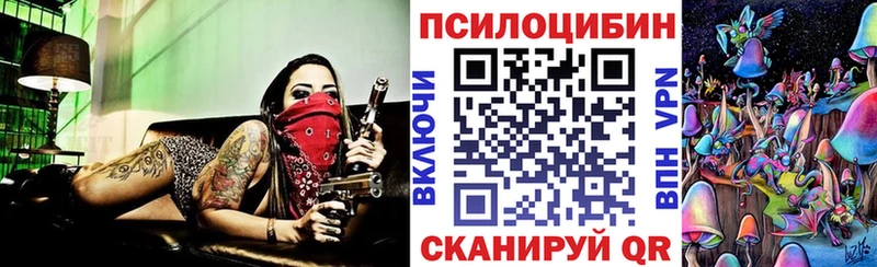 как найти наркотики  Гаджиево  Галлюциногенные грибы мицелий 